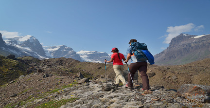 Summer Hiking Trips: 8 Planning Tips For Beginners